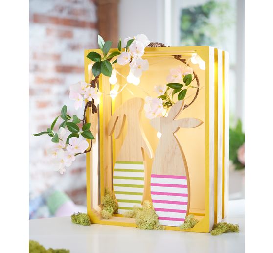 Islandský mech VBS, 100 g