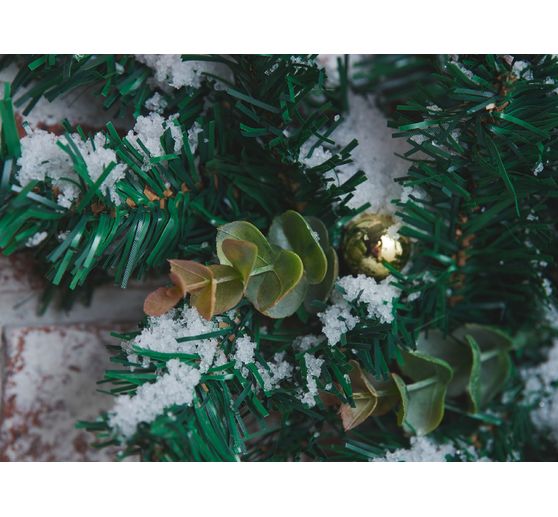 VBS Eukalyptus "Bendigo"