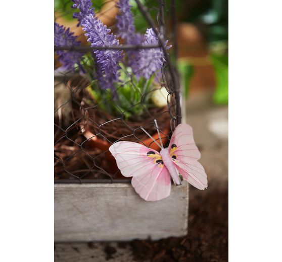 VBS Lavender pick "Lavendula"