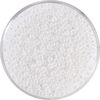 Miyuki Rocailles Pearl-White