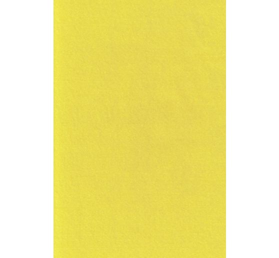 VBS Craft felt, 20 x 30 cm