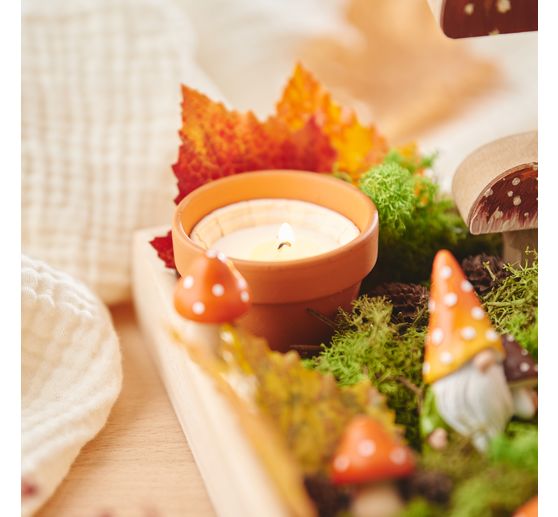 VBS Wooden mushrooms, 2 pieces