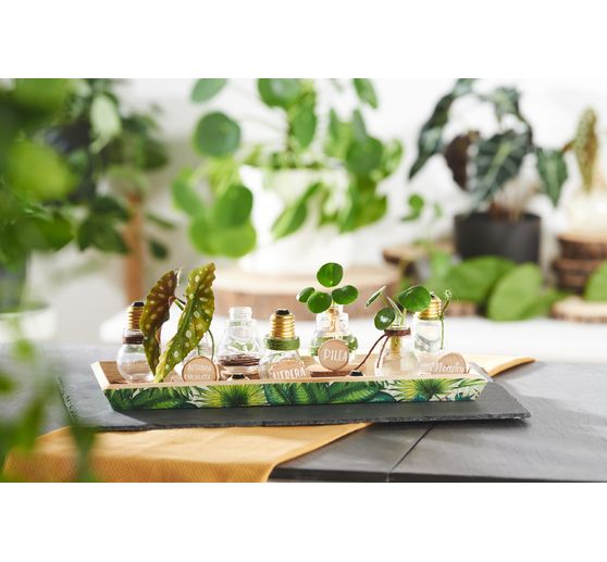 Napkin "Urban Jungle"