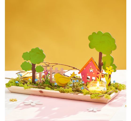 Field widow flower "Evergreen"