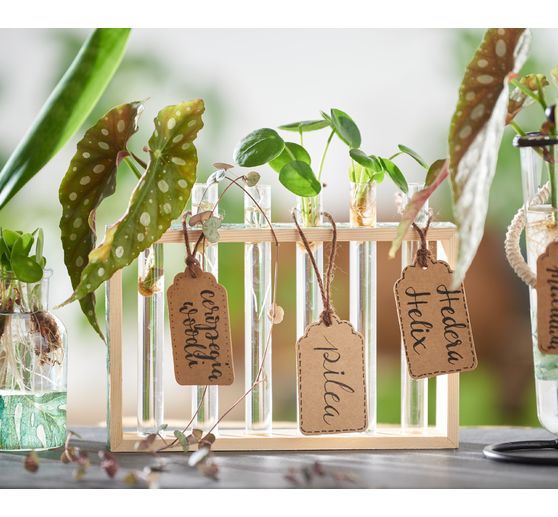 VBS Vase test tube holder "Cube"