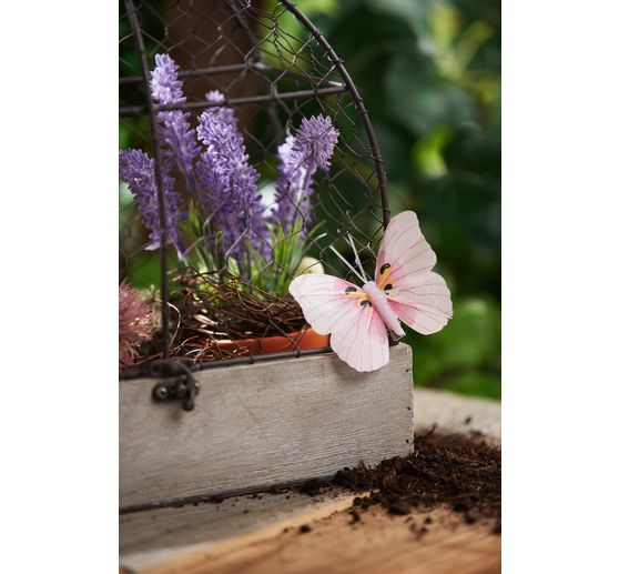 Decorative aviary "Shabby"