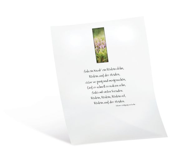 Průsvitný papír, 10 listů