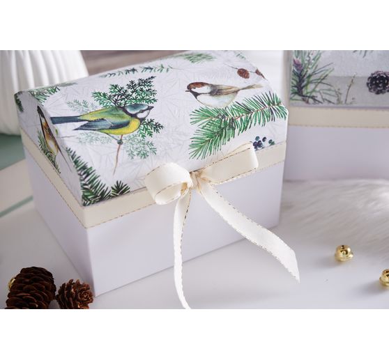 Truhlice VBS, sada 2 kusů, z bílého kartonu