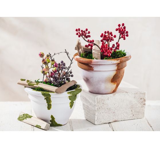 Easy Moss Colour, 200ml