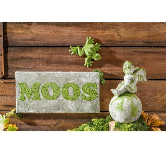 Easy Moss Colour, 200ml
