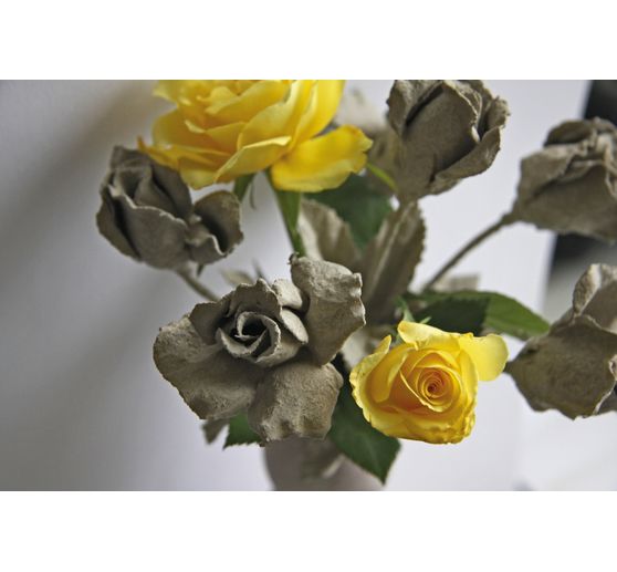 Immersion concrete set