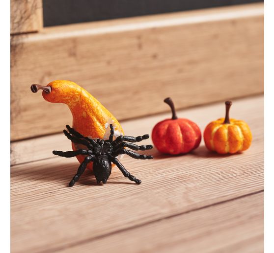 Halloween spider