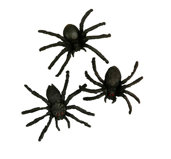 Halloween spider