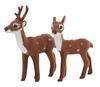 VBS Deer & Roe "Posen"