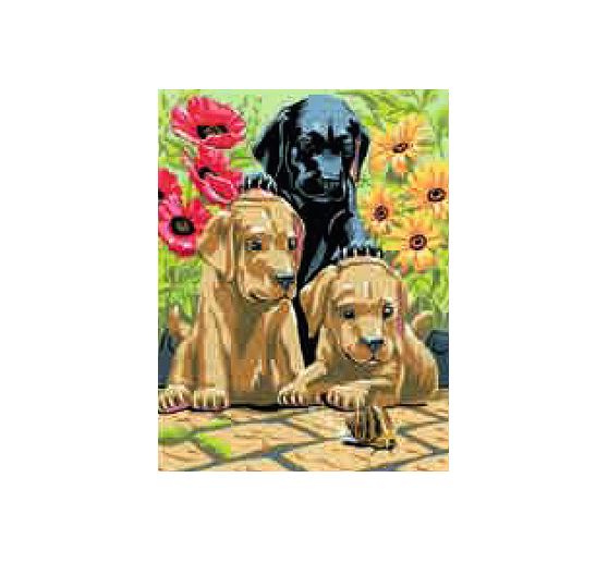 Art Adventure Mega Set