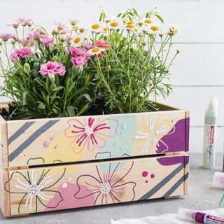 Barevný truhlík na květináče